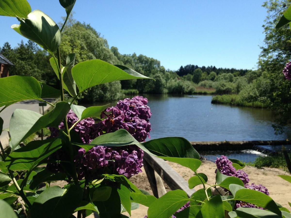 Sulkendrup Molle Apartment Nyborg Bagian luar foto